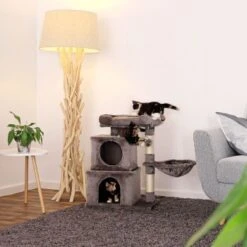 Lionto Kratzbaum 70 Cm Dunkelgrau -Catitea Geschaft 8c11784037ac3e2ef804ca5293fa33ee4027aaa6 1657042 de DE 21fa51fb609e55a7951db82c2479fc2519de47deP6TGfC