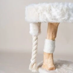 RHR Quality Kratzbaum Furry Bengal -Catitea Geschaft 8e4b302aa68b1aa4717ab40aed9197e0f05a717f 1670222 de DE 8c11b1d9c5757fc3a9d660f578d3a4a029bfe772GnnA51