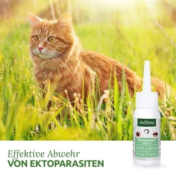 Aniforte Spot-on Für Katzen Ectoprotex 4 Aniforte Spot-on Für Katzen Ectoprotex – Bild 2