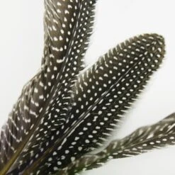 Schlitzohr Katzenangel Federanhänger 5x -Catitea Geschaft 93b8e0c984d323f24d455bf8e74e2dbacef5703e 1484675 de DE 7b80f213f44ebcad765dbdebc25bf2d2f0177dbd64kHU2