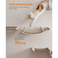 FEANDREA Clickat Katzenbrücke, Katzenregal -Catitea Geschaft 9473b7ae71acd9002eeb0fa708fd5d8577ab1640 1681423 de DE 430936dea23244e714a59f18f515196c2286771bkGvinn