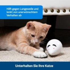PetSafe Automatisches Katzenspielzeug RoloRat 11 PetSafe Automatisches Katzenspielzeug RoloRat -Catitea Geschaft 97df3eec34472f4ac76f2a0bbe4e75fdbbe02b64 1351522 de DE 83c2d308e962c4b6c64101ee39311b3a61647f71n2yR1C