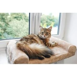 Kerbl Fensterliegebrett 13 Kerbl Fensterliegebrett -Catitea Geschaft 97f5bb7bf05ee5a806370ba3a815a6c9aa7c2c6a 1084786 1