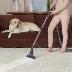 THOMAS DryBox Amfibia Pet -Catitea Geschaft 9953282c61e03abd8b9e8af05edae29417570062 1406734 de DE 1c8fb73e21f9aae62063930fedd2d58afb94e8aanSOWPf