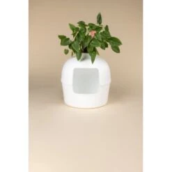 RHR Quality Katzentoilette Flower XXL -Catitea Geschaft 9a175089ef2e18d9c2c6261d746d3512930c312f 1641853 de DE fe53414878bfaf3647b8be741b079914a6bd2e93iOsifJ