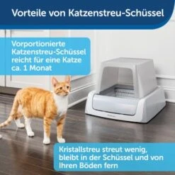 PetSafe ScoopFree Katzentoilette, Haube 15 PetSafe ScoopFree Katzentoilette, Haube -Catitea Geschaft 9f53ca90b171b847d777a219cd590baeb64c7e15 1368110 de DE be1af9fc2226731c8a8ce64e8c71ecd612a085e0SNiC7j