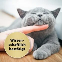 Felisept Home Comfort Beruhigungshalsband Für Katzen -Catitea Geschaft a12253aa64d0ef9e2479e95be523a78f4faefdb3 1238279 de DE Felisept 3