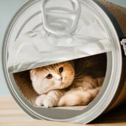 District 70 CAN Cardboard 9 District 70 CAN Cardboard -Catitea Geschaft a4cd0fa7850dfd13b737775762ce59afa0fa6bcc dc81845d134bfb19e2eca4e5bc9344d6856acd6a