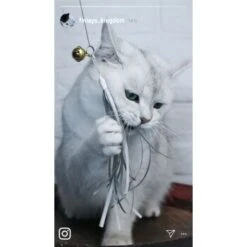 Kater Kasimir Premium Katzenangel Set Aus Buchenholz Mit 4 Handgemachten Anhängern -Catitea Geschaft aaff0e9889f09f48c0cf35681edb62768ad623ee 1422145 de DE b29a5f7f2530ce6388e16e2600369d70b2ec0350dUIf7E