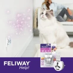Feliway Help! 7 Tage Start-Set Zur Vorbeugung Von Stress -Catitea Geschaft af221c57f6ccc9e6f3f372e52503a2d7b9cf22d4 1380136 5