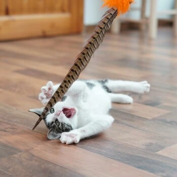 Schlitzohr Federwedel Birdy 3er Pack 8 Schlitzohr Federwedel Birdy 3er Pack – Bild 6