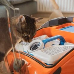 THOMAS AQUA+ Pet & Family 22 THOMAS AQUA+ Pet & Family -Catitea Geschaft b29d283b30c65b5964c108db9c904b2f1515a2bd 1408595 de DE b994e116c03c39866ce7571239028dd963780376lYoXei