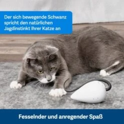 PetSafe Automatisches Katzenspielzeug RoloRat 12 PetSafe Automatisches Katzenspielzeug RoloRat -Catitea Geschaft b65e953878b463eb5125c940634b84e8b7c79a3f 1351522 de DE 3daf7dbb27d01ce7d63f06677a32dd6cde28abb9X2tLJP