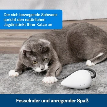 PetSafe Automatisches Katzenspielzeug RoloRat 7 PetSafe Automatisches Katzenspielzeug RoloRat – Bild 6
