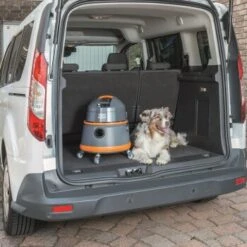 THOMAS Boxer -Catitea Geschaft b88f849533b8ebe1b5a7ad5744a96450027d0fae 1406732 de DE 0d542195b78af5d42f192c44669d7c2bbf8e5208f0NCyT