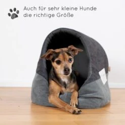 KaraLuna Katzenhöhle -Catitea Geschaft b9e0f78e84940fe27a91248cd7c8880bf5f0129d 1407464 de DE 9a2a2969f12da9c95b07df8a19892b19411f8b3d9QK17z