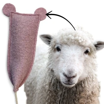 Kater Kasimir Kitten Paket Mit 3 Premium Katzenspielzeugen 8 Kater Kasimir Kitten Paket Mit 3 Premium Katzenspielzeugen – Bild 6