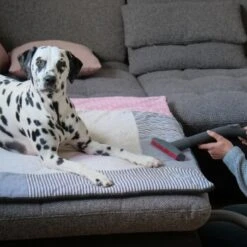 THOMAS AQUA+ Pet & Family 19 THOMAS AQUA+ Pet & Family -Catitea Geschaft c3381bf4158feb85ebfd3f3d8bb59ef108b95290 1408595 de DE f1089c65a30ba894d2939997310129f1b316d2cdCtnGOW