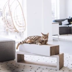 District 70 STRETCH 11 District 70 STRETCH -Catitea Geschaft c7e217e189c4c0bb9b1b8ed3223bf45ded06649b 86c2b7def285f0c56fc99115c277d70af97993e8