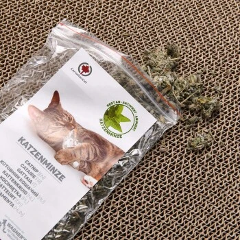 Canadian Cat Company Kratzbrett Orbit 2.0 Dunkelgrau 5 Canadian Cat Company Kratzbrett Orbit 2.0 Dunkelgrau – Bild 3