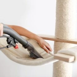 THOMAS AQUA FleckWasher -Catitea Geschaft d0f5e8f3d8704727ae9f8d622c7075b7c423576b 1652086 de DE 2671b0968ff1af964b9b936f18c15a3e715921d8OZmc0o