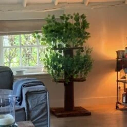 RHR Quality Kratzbaum Design Natural Leaves 13 RHR Quality Kratzbaum Design Natural Leaves -Catitea Geschaft d32ab4bff9ec3b85ae4c7c42fe25c58d6e1cdac6 1651772 de DE ce58d8382b7df57150df15145bf1bd288f24ba1aaicjgL