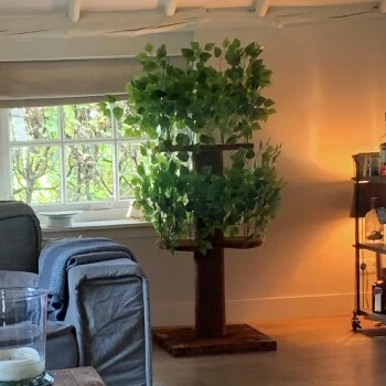 RHR Quality Kratzbaum Design Natural Leaves 7 RHR Quality Kratzbaum Design Natural Leaves – Bild 5