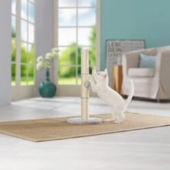 AniOne Kratzsäule Pepe&Kitty 9 AniOne Kratzsäule Pepe&Kitty -Catitea Geschaft d5701c6c4622e5291ba55a46423a44f2481c56c2 484c1f099650b6711f02ae3db97410a6f9af5da0