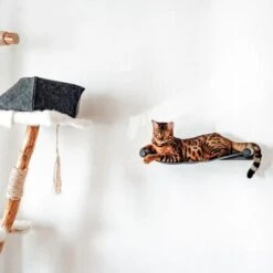 Canadian Cat Company Filz-Hängematte Für Die Wand -Catitea Geschaft d6982ed9d12e9d0cbfd4107464642cbf75290f16 1360996 de DE d8ac4e7927d3348063cd4288852ccba5cd28bc01nV0N95