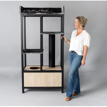 RHR Quality RHRQuality Maine Coon Feline Elite 190 Anthrazit/ Schwarz 4 RHR Quality RHRQuality Maine Coon Feline Elite 190 Anthrazit/ Schwarz – Bild 2