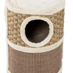 AniOne Kratztonne Sienna -Catitea Geschaft dc8087ff9eef5ce23cc2fad7f1394911cc40dcdf 8018724dd14008f3858c03dc3b4803a8676d3703