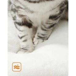 FEANDREA Katzenmöbel 138cm Modern 14 FEANDREA Katzenmöbel 138cm Modern -Catitea Geschaft dd5b79884e43283363cfe546c09a94b866348efb 1483576 de DE d0d31c8def7406dd1b0e19692dff9bc5fdc7392elR6n8N