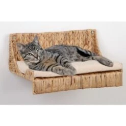 Silvio Design Kletteretage Wasserhyazinthe -Catitea Geschaft de5814d2b1ffde2ce6e0f5e96a58ff3ba7243ab9 ee2ef12f79ea6aefab394ae11b3c74c30340fb6a