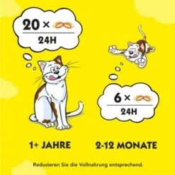 Dreamies Snack-Vielfalt 12x60g 13 Dreamies Snack-Vielfalt 12x60g -Catitea Geschaft e1b190f4f53100ff83c0fb6481ba747fb1f78bad 1297459 2