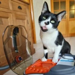 THOMAS Staubsauger -Catitea Geschaft e924a64d06d1776c60effa6ed643bd7a6c20fdca 1406733 de DE 08e20bea72feee79416abcd48fd6e6a61e2fc6eav4kQrJ