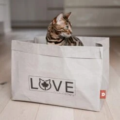 Canadian Cat Company Katzenbett Winnipeg 17 Canadian Cat Company Katzenbett Winnipeg -Catitea Geschaft ea2a92543660a6fabd2208bab8b82f203858e92f 1360995 de DE 358e0d9c2a85d0e9a3d95742e7fcf6e39ccfc95dtlCYtr