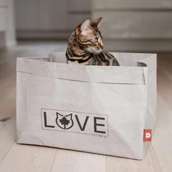 Canadian Cat Company Katzenbett Winnipeg 10 Canadian Cat Company Katzenbett Winnipeg – Bild 8