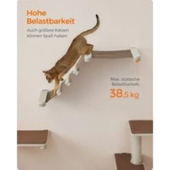FEANDREA Clickat Katzenmöbel 2er Set, Kletterwand -Catitea Geschaft ea7e627724db534c6e0464771932a5ea554c0b07 1681501 de DE 69b299a2a0b5f1d93e61abe664375afb5e8ca6e9R2CgKk