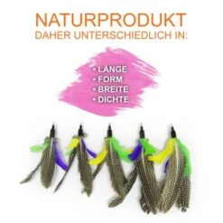 Schlitzohr Katzenangel Federanhänger 5x -Catitea Geschaft f6a96b93601c3b2f6f7420ade3ecfe56542cca74 1484675 de DE b1d2fd29ad67016b9a6af908251d348edfa467f2BG8aWR