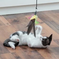 Schlitzohr Katzenangel Federanhänger 5x -Catitea Geschaft fb09936ea9d25b4ceb7b2f0b88286c91e6ede665 1484675 de DE 706999394aba568bf156a2aea623d154b845a9f55pZfqW