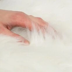 Canadian Cat Company Filzlounge AVA Beige M -Catitea Geschaft fd8b746ad0dc996bb62efc39f6c670f6be8df30e 1360999 de DE c86a4e6d9ceba2c1e55f3f753eeda095c89215723XoDPL