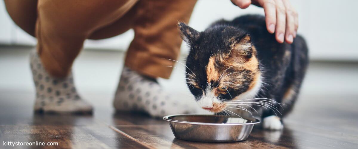 Catitea Geschaft -Catitea Geschaft cat food bowl